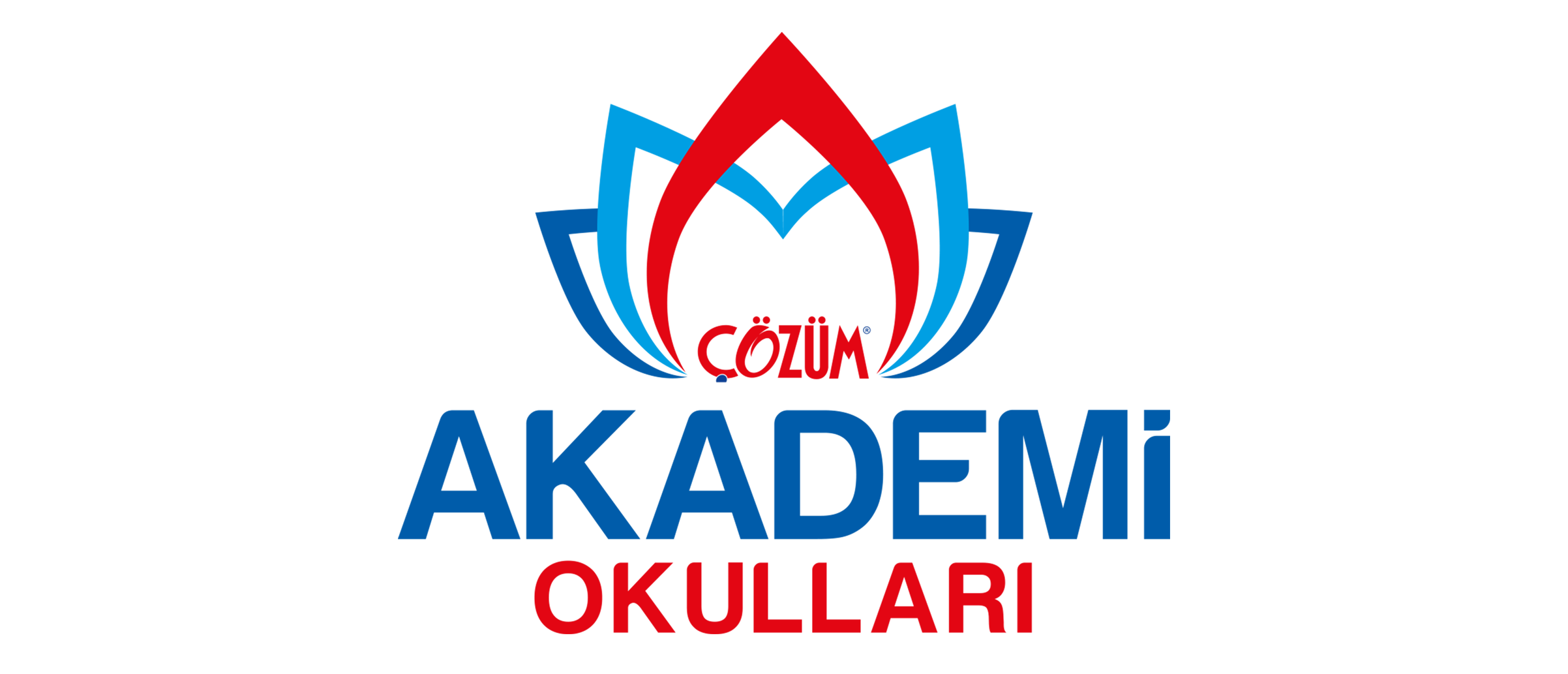 REHBER ÖĞRETMEN İŞ İLANI - PURSAKLAR ÇÖZÜM AKADEMİ OKULLARI